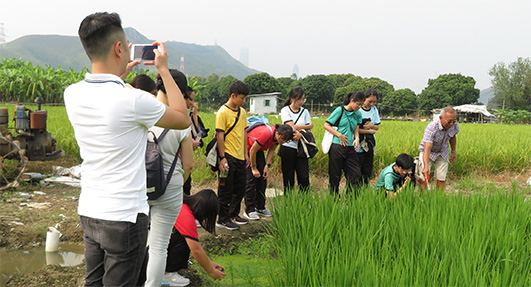 社区投资共享基金图片