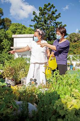 社區投資共享基金圖片