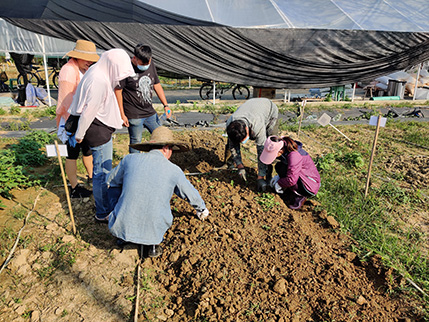社區投資共享基金圖片