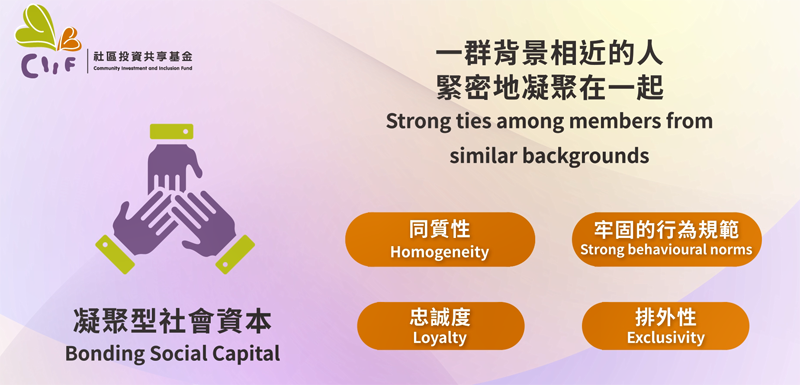 图六∶凝聚型社会资本 (Bonding Social Capital)