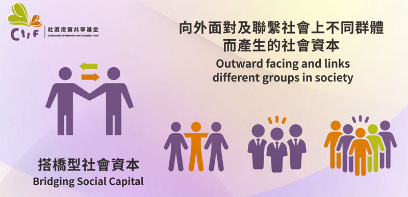 图七∶搭桥型社会资本 (Bridging Social Capital)