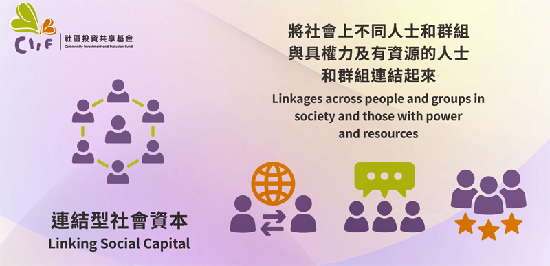 图八∶连结型社会资本 (Linking Social Capital)